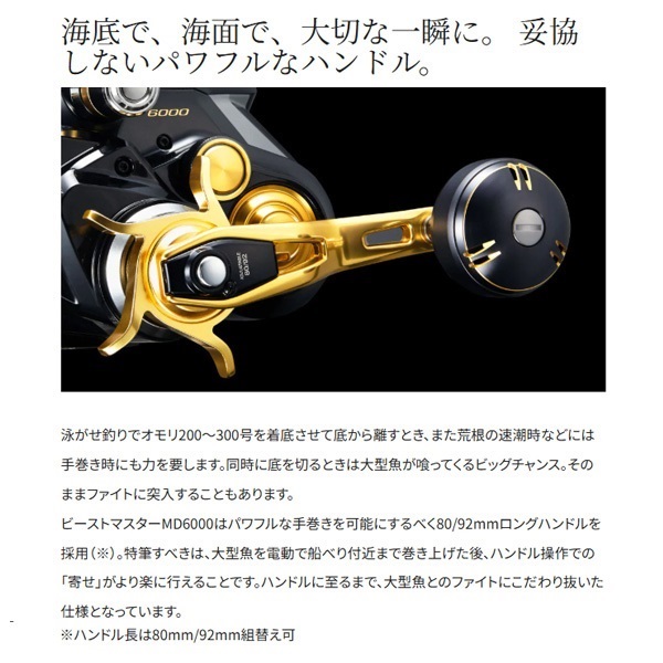 22ビーストM